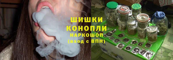 тгк Пересвет