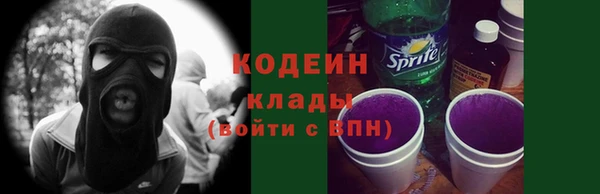 МДПВ Осинники