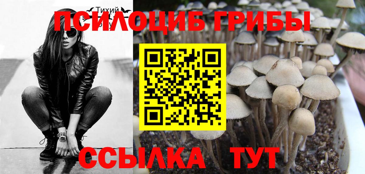 Псилоцибиновые грибы мухоморы Коркино