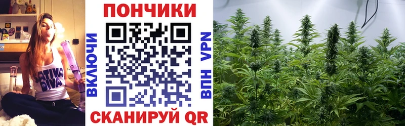 где можно купить   Коркино  Бошки марихуана VHQ 